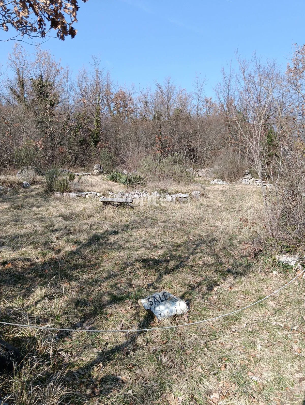 Pôda Novigrad, 442m2