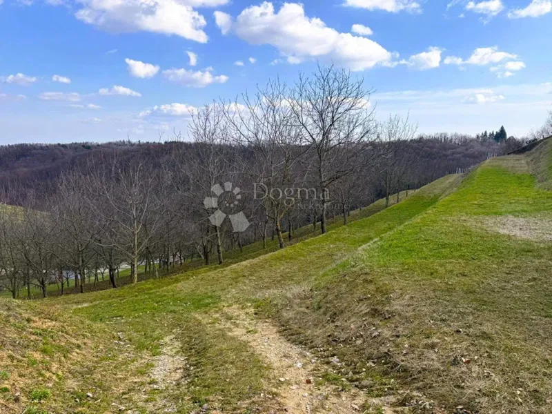 Building land Vinica Breg, Vinica, 6.495m2 – 2