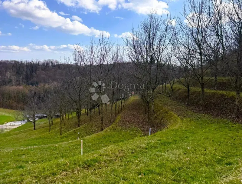 Building land Vinica Breg, Vinica, 6.495m2 – 3