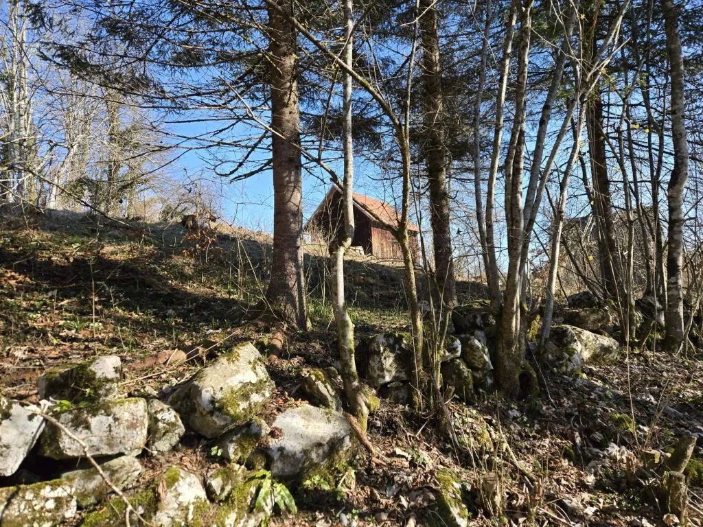 Gorski kotar, Brod Moravice, kuća s velikom okućnicom