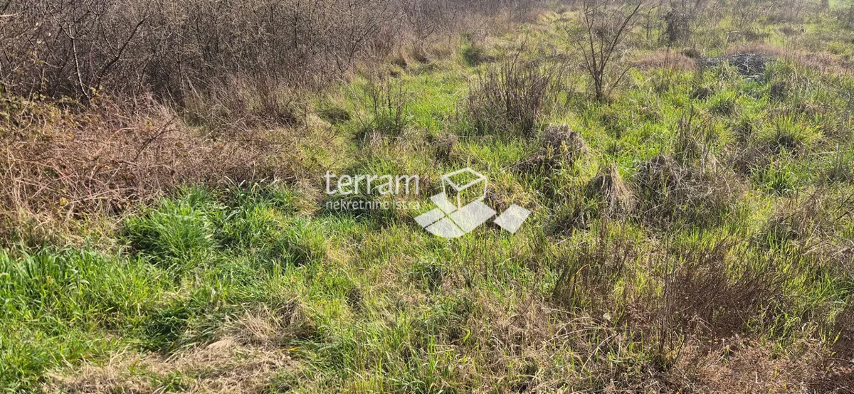 Istra, Pula, Šijana, građevinsko zemljište poslovne namjene 1765m2
