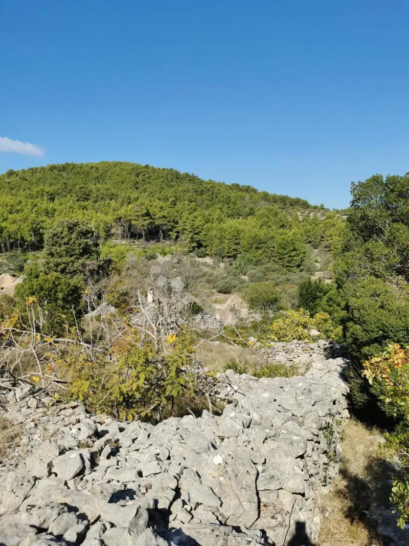 Mezőgazdasági terület Potirna, Blato, 8.000m2 – 2