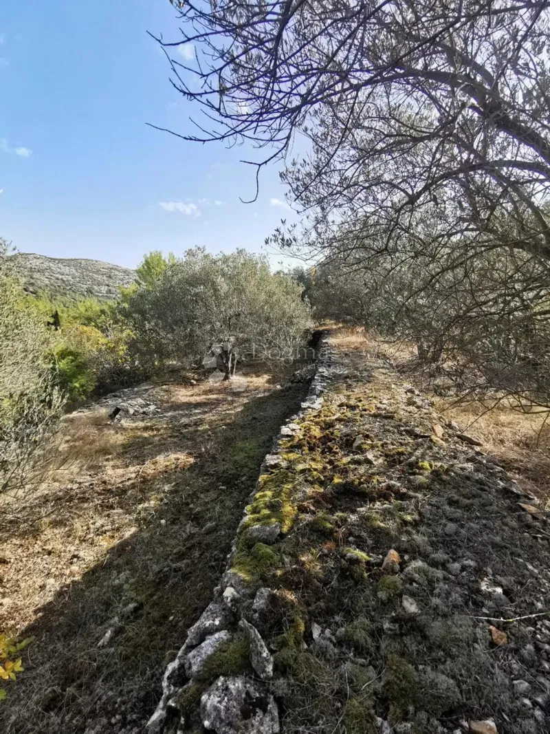 Mezőgazdasági terület Potirna, Blato, 8.000m2 – 3