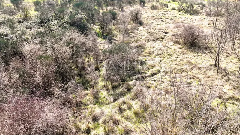 Istra, Marčana - terreno edificabile in zona industriale – 2