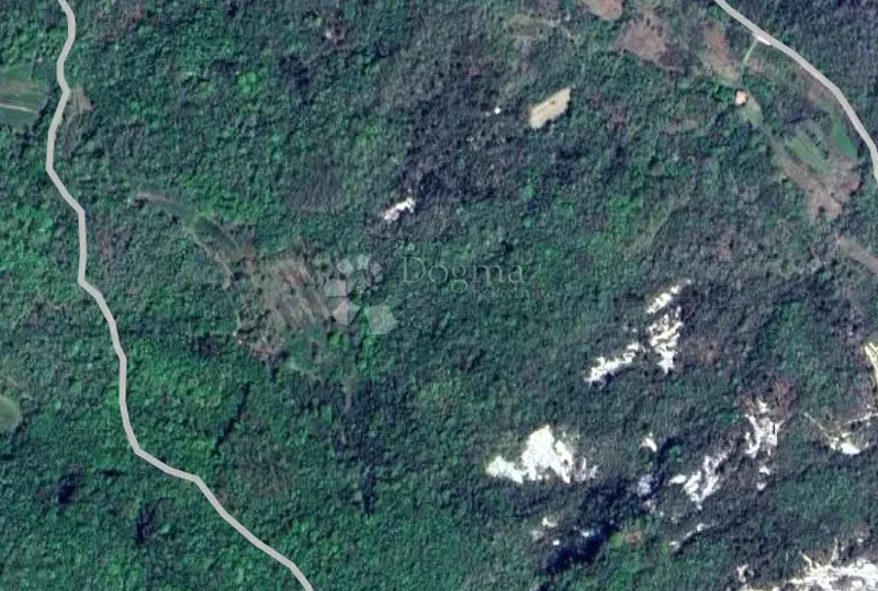 Agrarland Pićan, 49.845m2