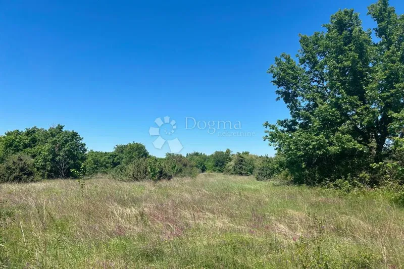 Land Vidulini, Žminj, 3.021m2 – 2