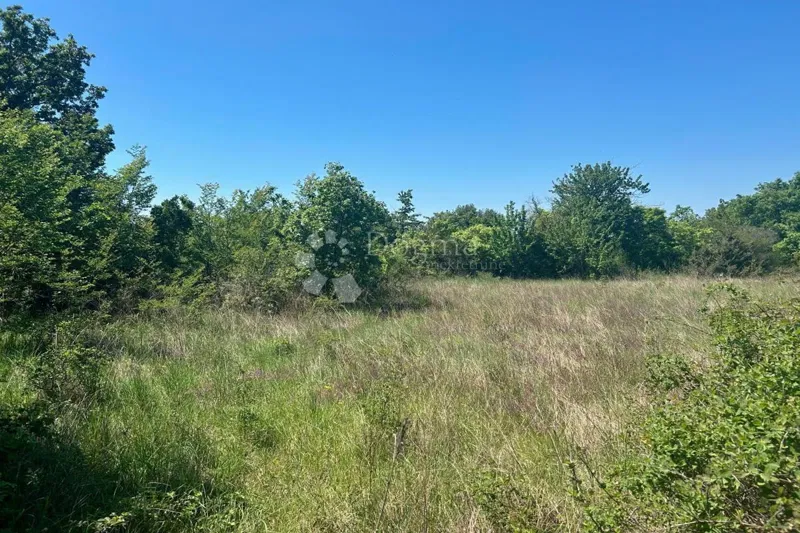 Land Vidulini, Žminj, 3.021m2 – 3