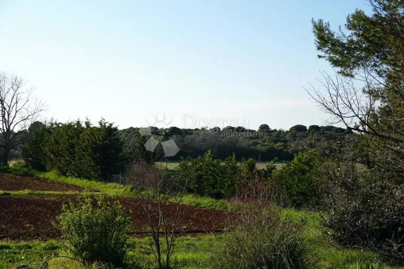 Land Štinjan, Pula, 3.300m2 – 3