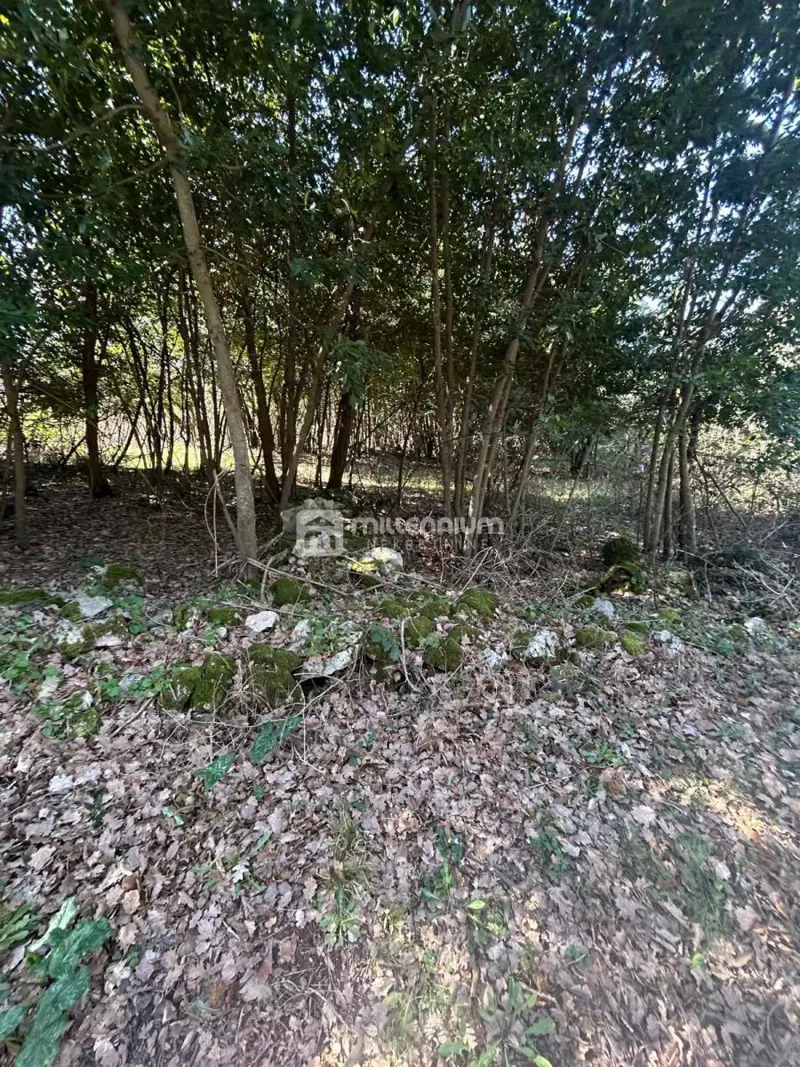 Земля Šumber, Sveta Nedelja, 637m2