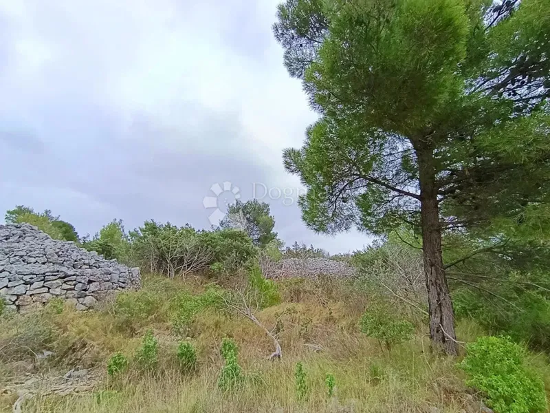 Agricultural land Milna, 9.168m2 – 3
