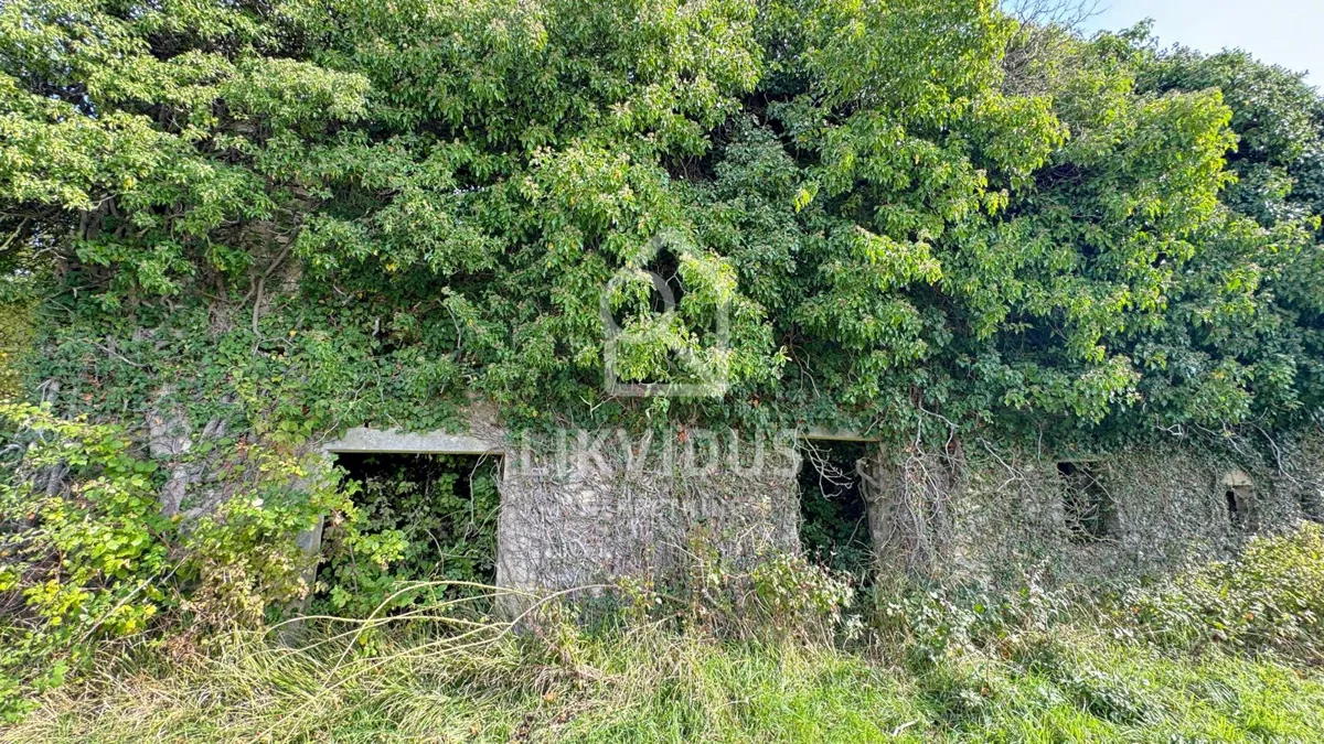 Imanje na osami - ruševina sa 120.000 m2 maslinika