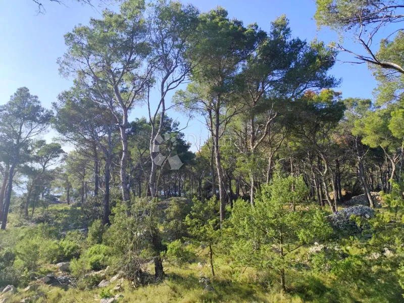 Mezőgazdasági terület Milna, 7.841m2 – 3