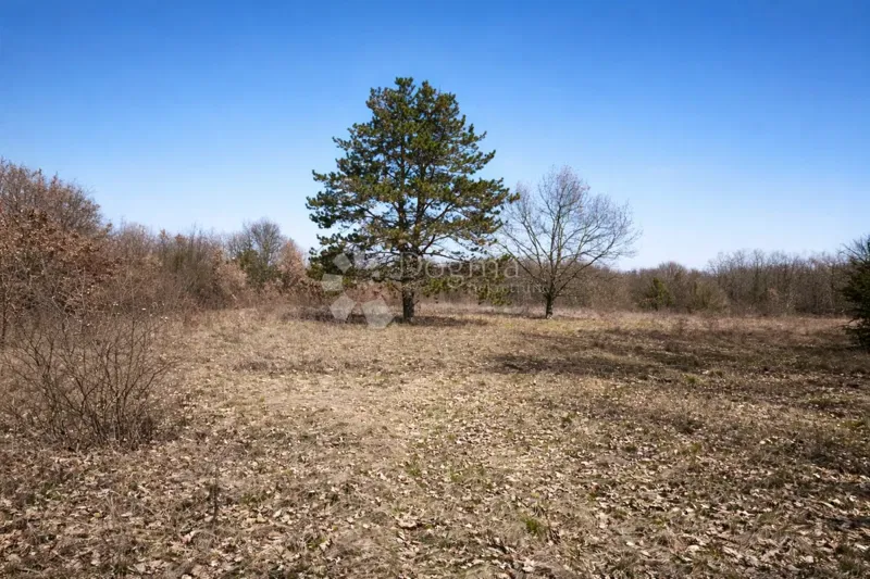 Сельскохозяйственная земля Šumber, Sveta Nedelja, 3.085m2