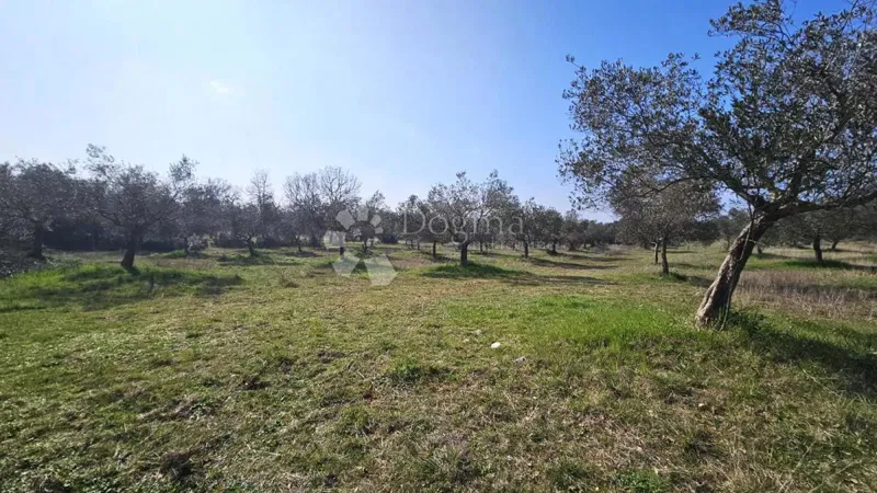 Agricultural land Rovinj, 19.838m2 – 2