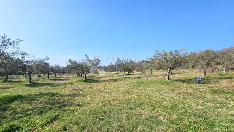 Agricultural land Rovinj, 19.838m2 – 3