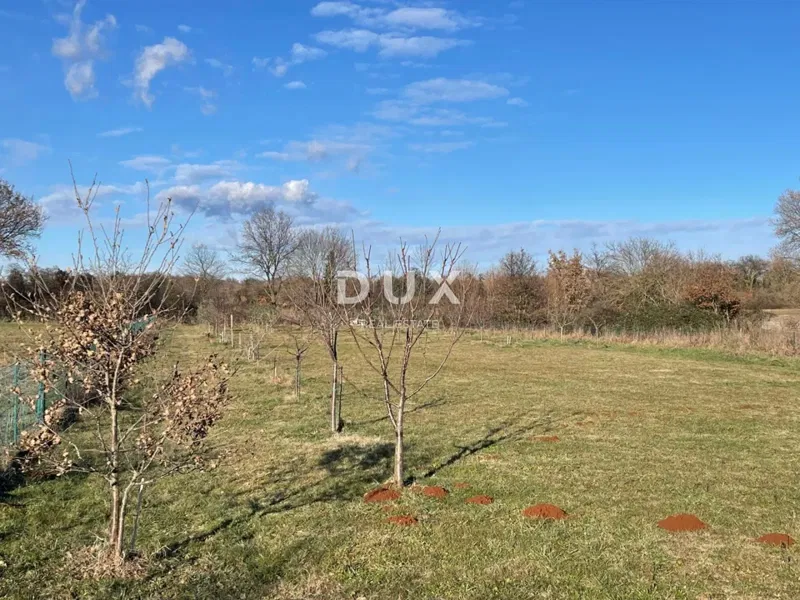 ISTRIA, LOBORIKA - Building land with lots of potential – 2