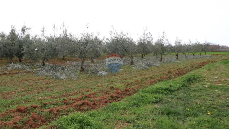 Telek Poreč – 2