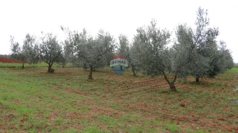 Telek Poreč – 3