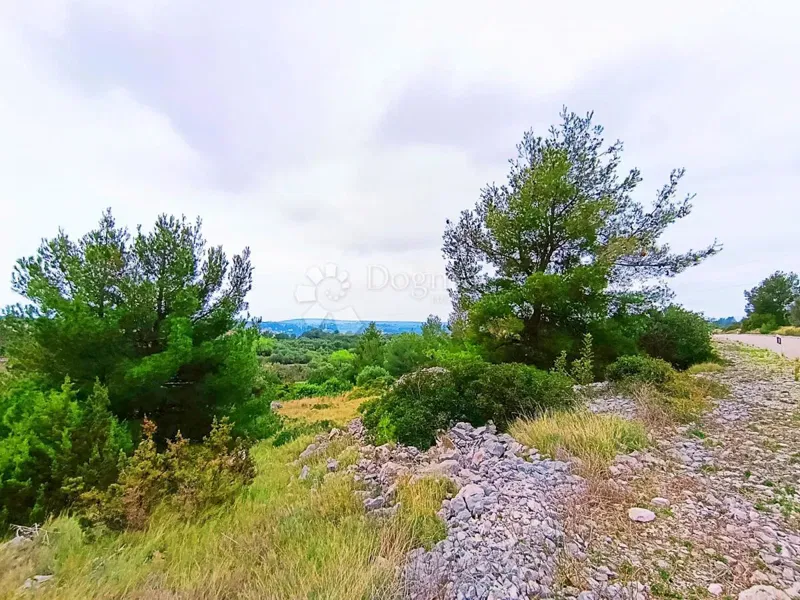 Terreno agricolo Milna, 9.608m2 – 2
