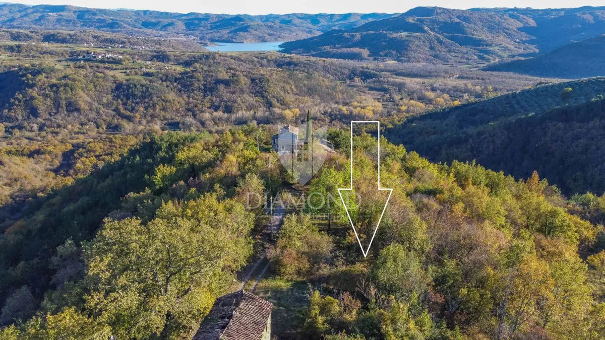 Motovun, proprietà con grande potenziale di sviluppo!