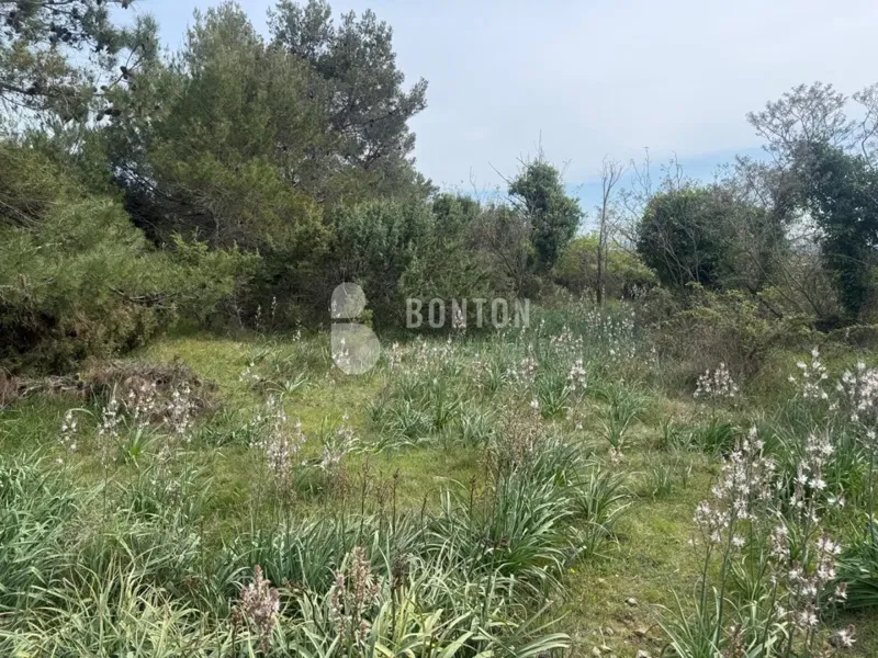 MJEŠOVITO ZEMLJIŠTE IZNAD ZADRA- CRNO