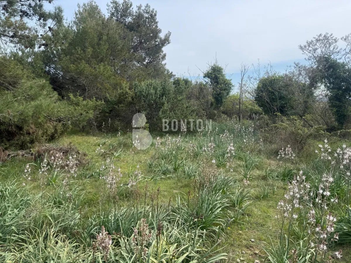 MJEŠOVITO ZEMLJIŠTE IZNAD ZADRA- CRNO