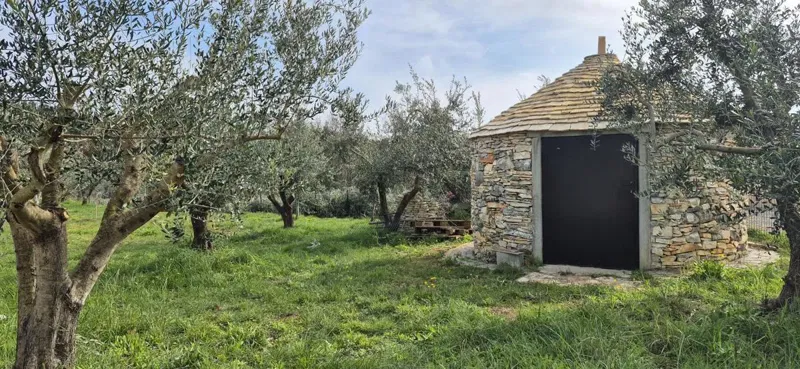 Building land Duga Uvala, Marčana, 1.089m2 – 2
