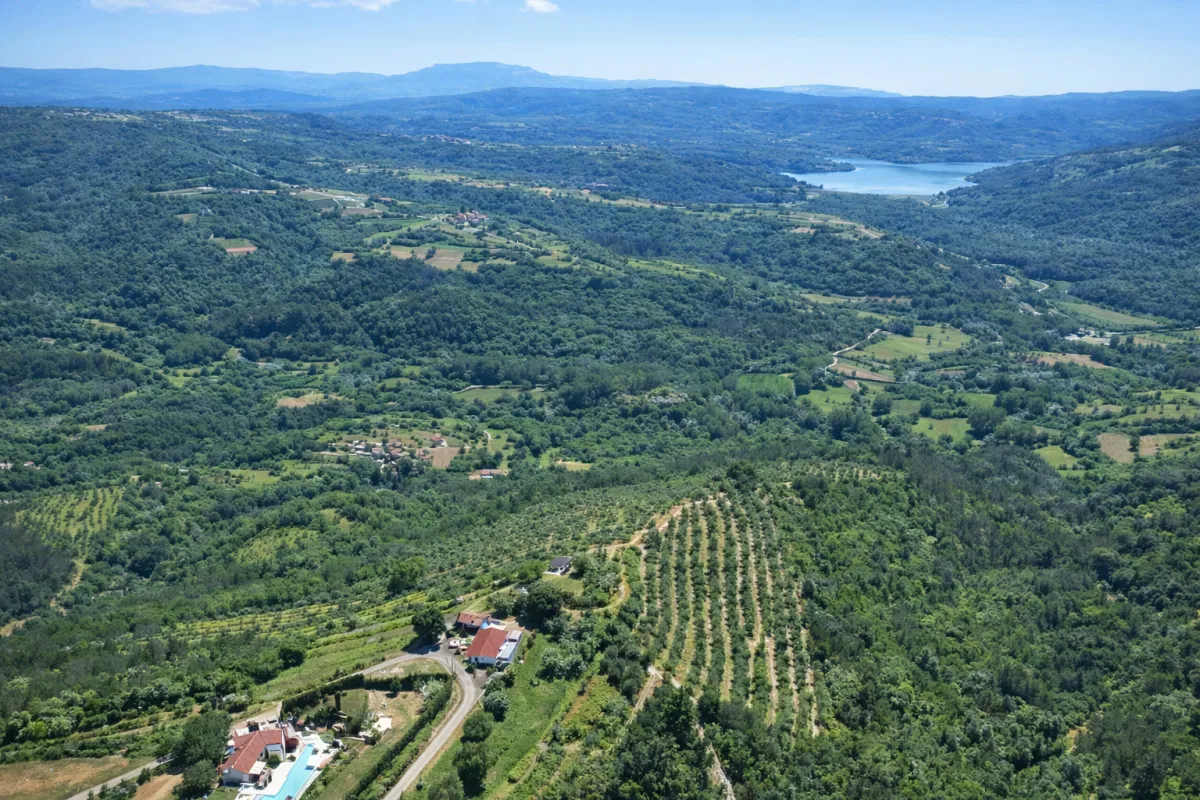 Jedinstveno imanje od 17 ha s panoramskim pogledom na Motovun i jezero Butoniga