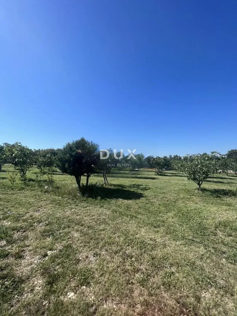 ISTRIA, RAKALJ - Due lotti edificabili in posizione privilegiata – 2