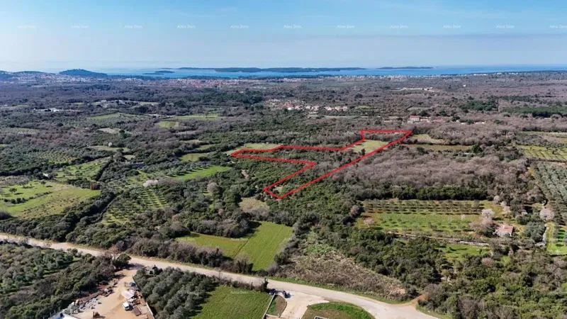 GALIŽANA - Ampio terreno agricolo in vendita – 20.498 m², posizione eccellente – 3