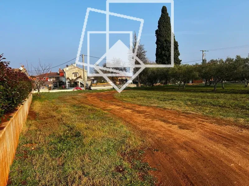 Građevinsko zemljište 1440 m² – Plovanija, Buje – mogućnost gradnje obiteljske kuće ili višestambenog objekta
