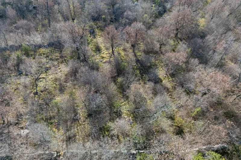 Agricultural land, for sale, City of Krk, Croatia, 46116 m2, 570.000,00 EUR – 2