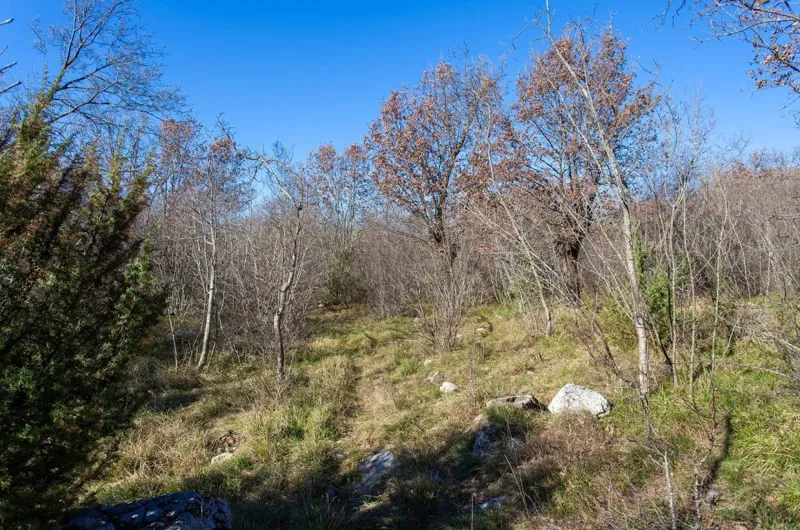 Agricultural land, for sale, City of Krk, Croatia, 46116 m2, 570.000,00 EUR – 3