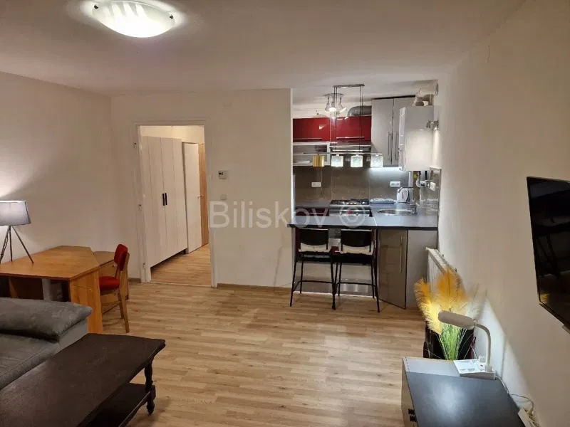 For rent, Šalata, one-bedroom apartment, 50 m², ground floor, garden – 2