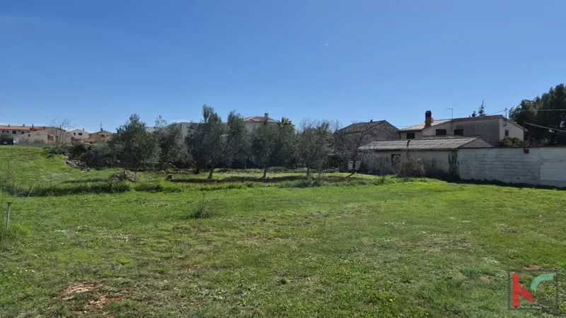 Telek Galižana – 2