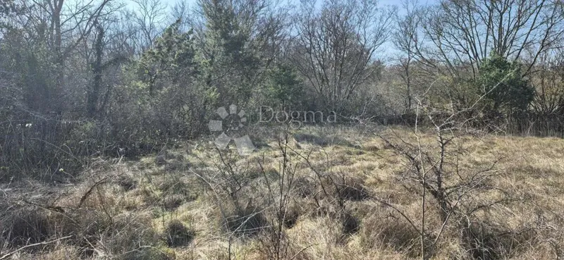 Agricultural land Glavani, Barban, 7.962m2 – 3
