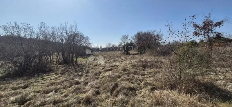 Сельскохозяйственная земля Manjadvorci, Barban, 18.992m2 – 3