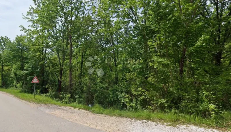 Ziemia rolna Batlug, Gračišće, 14.000m2