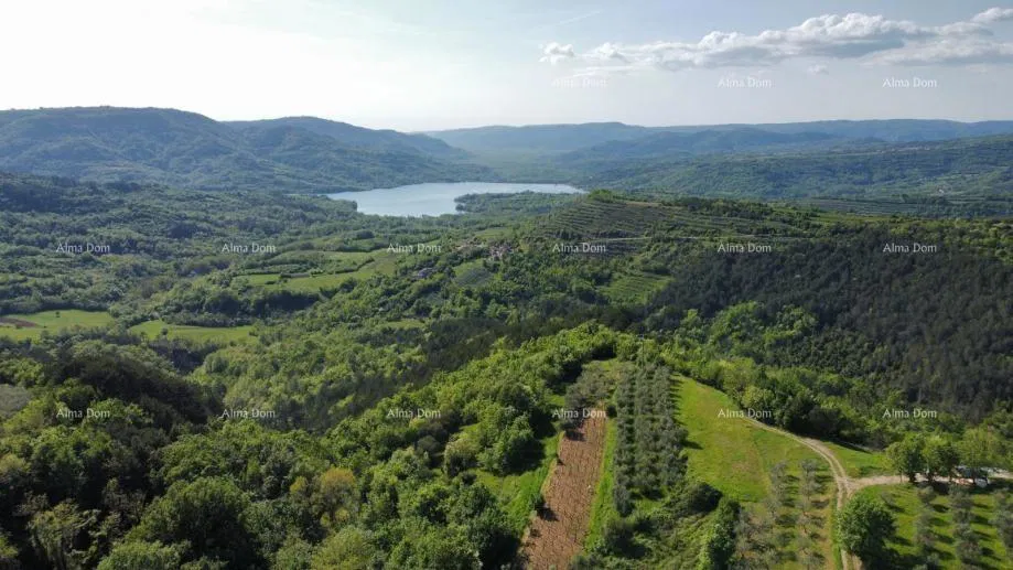 GRIMALDA – attraktives Baugrundstück mit Blick auf die Natur, 1162 m2
