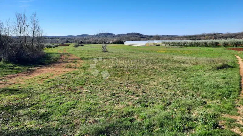 Agricultural land Kadumi, Poreč, 7.670m2 – 2