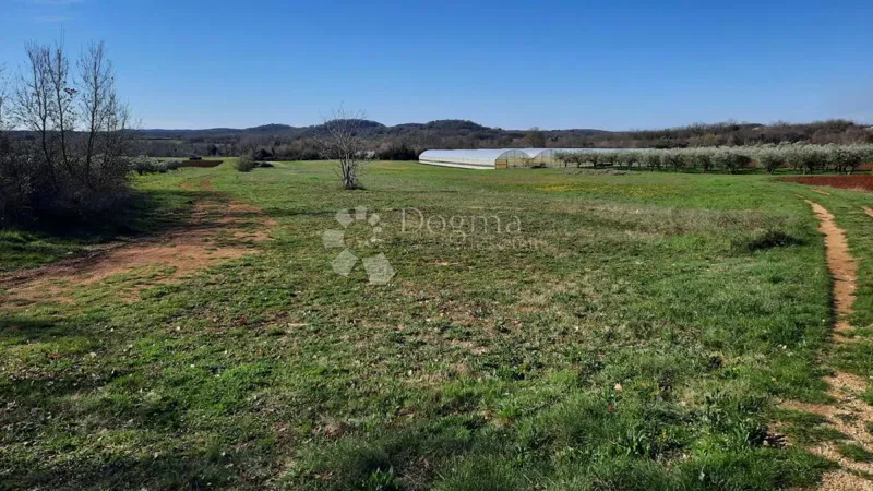 Agricultural land Kadumi, Poreč, 7.670m2 – 3