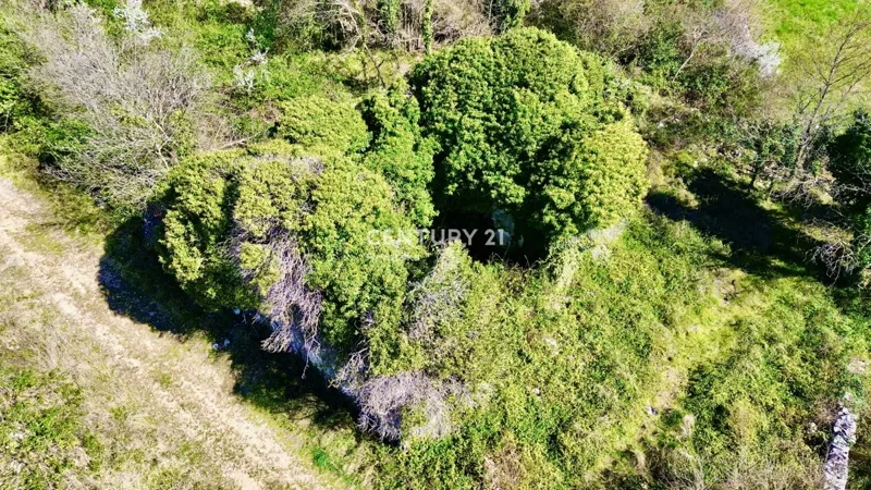 Vendita, Casa, Indipendente, Provincia di Istria, Buje – 3