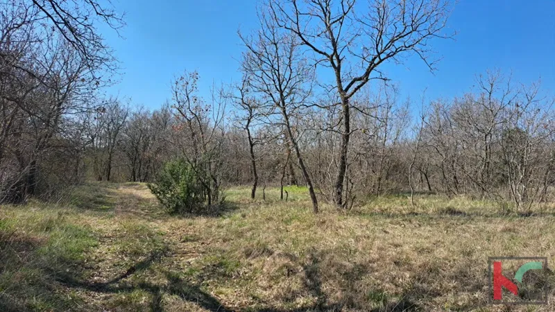 Telek Marčana – 2