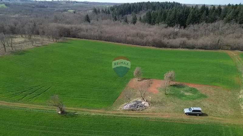 Terreno non edificabile Markovići, Vižinada, 11.458m2 – 2