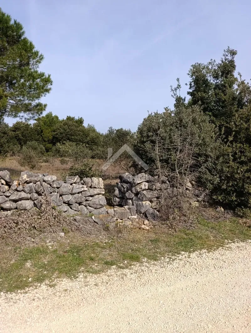 Terreno Vir – 2