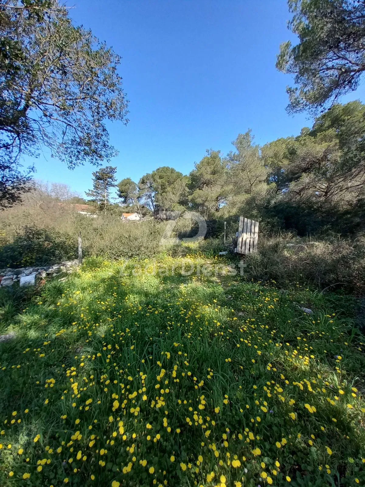 Grundstück von 1756 m² in Sv. Filip i Jakov