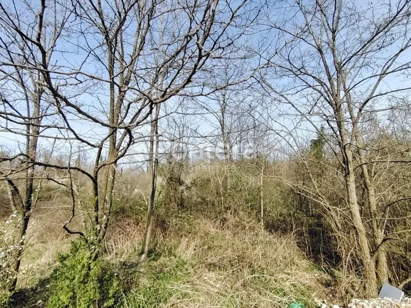 Terreno Jurdani, Matulji, 7.500m2 – 2