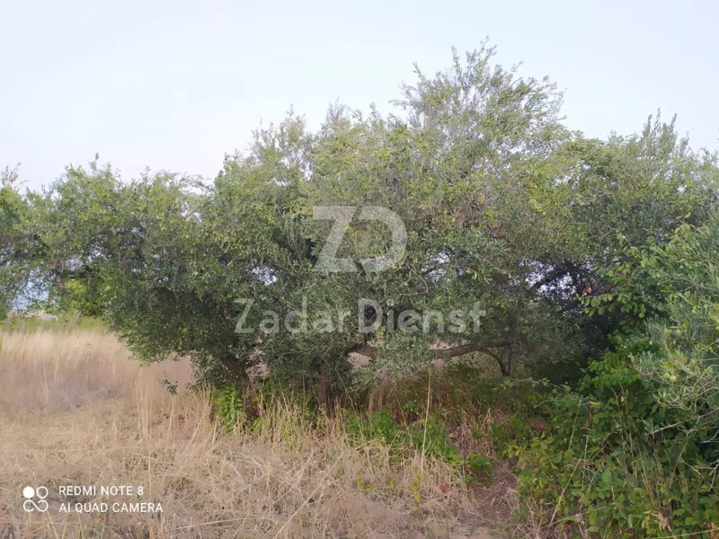 Zemljište od 716 m2, 100 m od mora u Zadru (Arbanasi) – 2