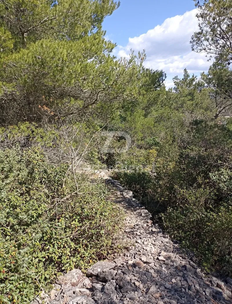 Zemljište od 4451 m2, 150m od mora - Mali Iž – 2