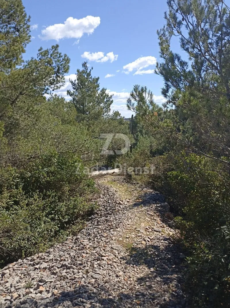 Zemljište od 4451 m2, 150m od mora - Mali Iž – 3